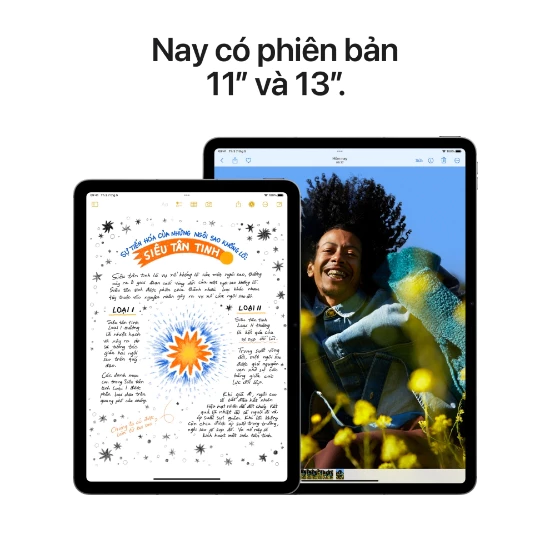 iPad Air M2 11 inch Wi-Fi 256GB